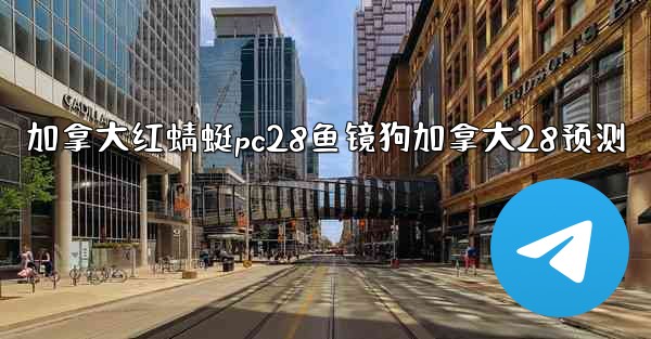 加拿大红蜻蜓pc28鱼镜狗加拿大28预测