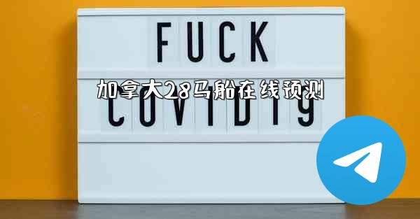 加拿大28马船在线预测