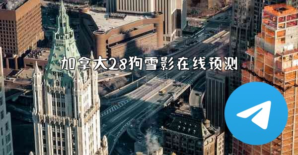 加拿大28狗雪影在线预测