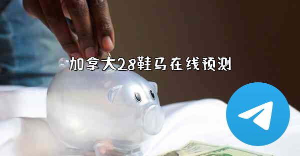 加拿大28鞋马在线预测